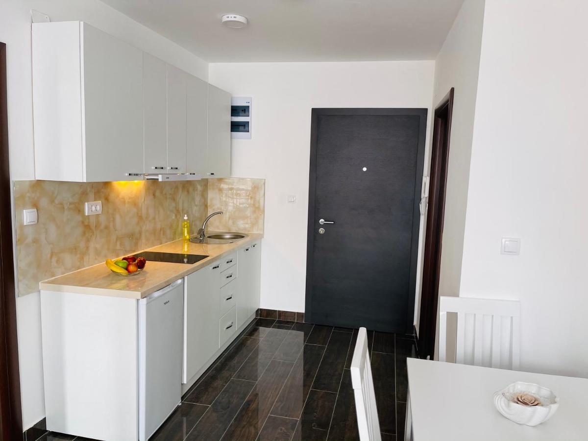 Apartmani Zivkovic Srebrno Jezero Veliko Gradište 外观 照片