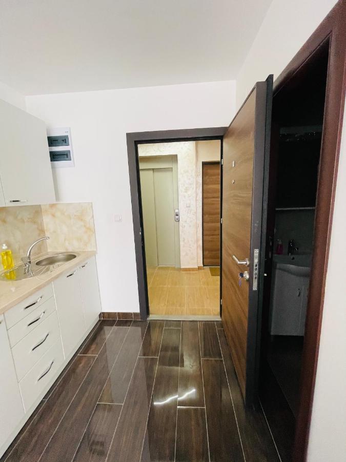 Apartmani Zivkovic Srebrno Jezero Veliko Gradište 外观 照片
